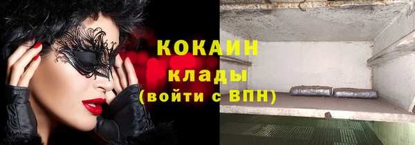 СК Бронницы