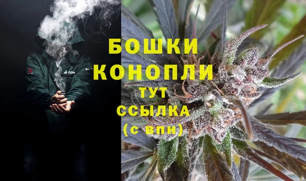 ALPHA PVP Белокуриха