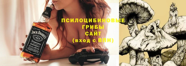 а пвп мука Бугульма